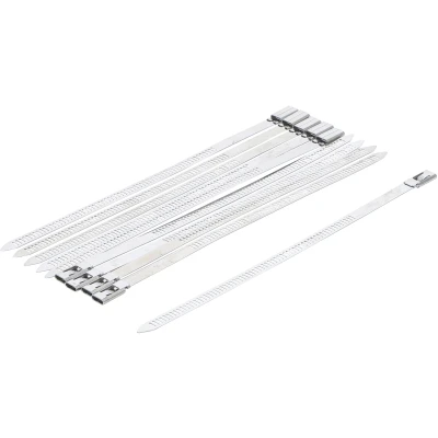 Afbeelding van BGS Kabelbinder assortiment roestvrij staal, 7,0 x 200 mm, 10 delig