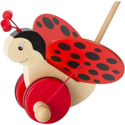 Afbeelding van Goki Push along animal, ladybird Florah