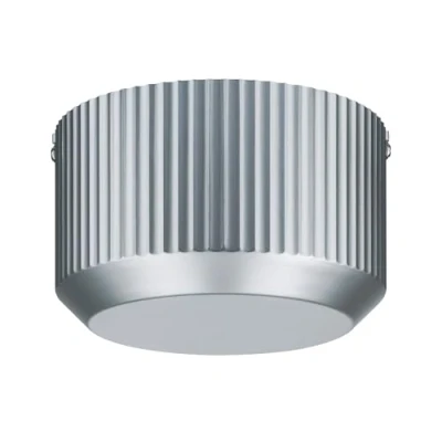 Afbeelding van Paulmann Toroidal 97932 12V kabelsysteemcomponenten Trafo Chroom
