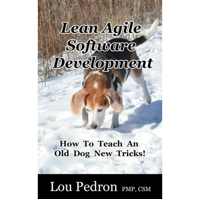 Afbeelding van Lean Agile Software Development