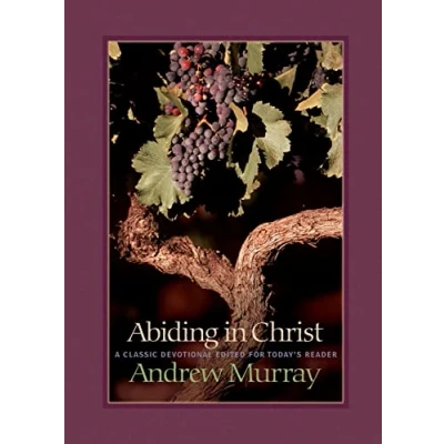 Afbeelding van Abiding in Christ