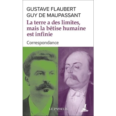 Image de la terre a des limites, mais bêtise humaine est infinie