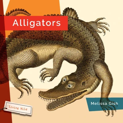 Afbeelding van Alligators