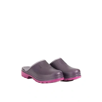 Afbeelding van Aigle Clogs, Dames, Maat: 38, Dark purple Natuurrubber