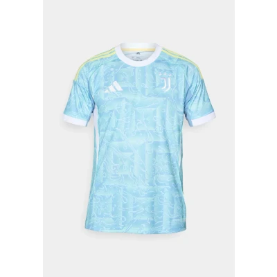 Afbeelding van adidas Performance JUVE Sport Tshirt, Heren, Maat: XL, Ash blue