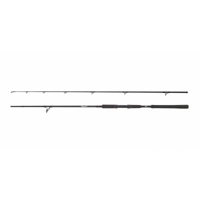 Afbeelding van Abu Garcia Beast Pike Spinhengel 2,54m (30 110g)