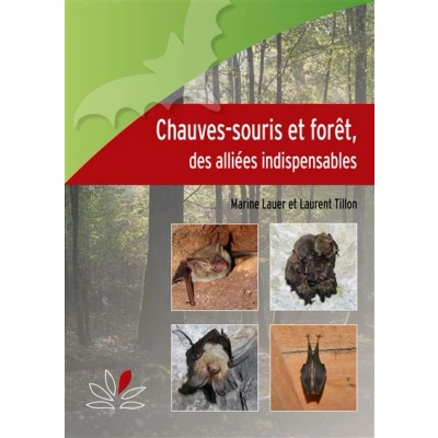 Image de Chauves souris et forêt