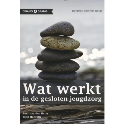Afbeelding van Wat werkt