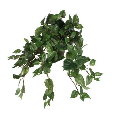 Afbeelding van Scindapsus Kunst Hangplant in Bloempot Stan H45 x Ø25 cm Groen