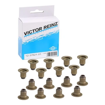 Afbeelding van Reinz Klepsteeldichting 12 37621 01