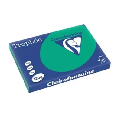 Afbeelding van Clairefontaine Trophée Intens, gekleurd papier, A3, 120 g, 250 vel, dennengroen 5 stuks