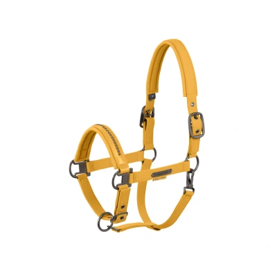 Image de Eskadron Licol Softshell Pearls Platinum &#039;25 Golden YellowVendu par Agradi