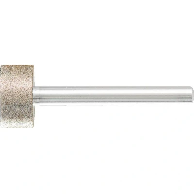Afbeelding van PFERD 36120010 Schuurpen Diameter 20 mm 1 stuk(s)