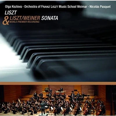 Afbeelding van Sonata For Piano In B Minor
