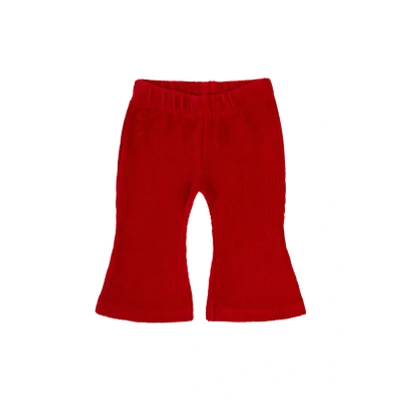 Image de Legging Fosses Salsa 50
