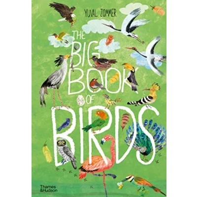 Afbeelding van The Big Book of Birds