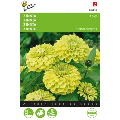 Afbeelding van Zaden zinnia envy 1 gram Buzzy