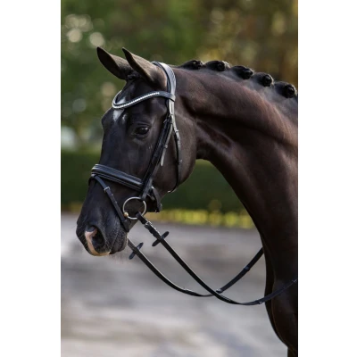 Image de HB Showtime Bride Stars Noir Poney