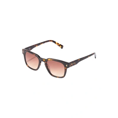 Afbeelding van Hawkers Pierre Gasly X Citybreak Zonnebril, Heren, Maat: One Size, Brown