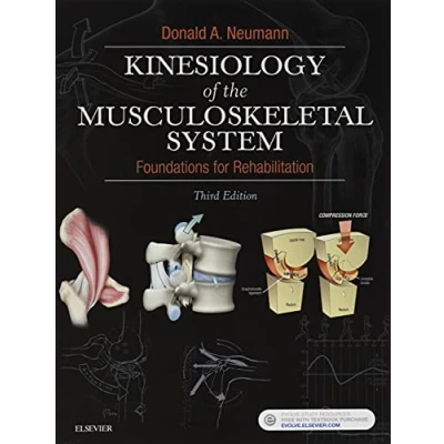 Afbeelding van Kinesiology of the Musculoskeletal System