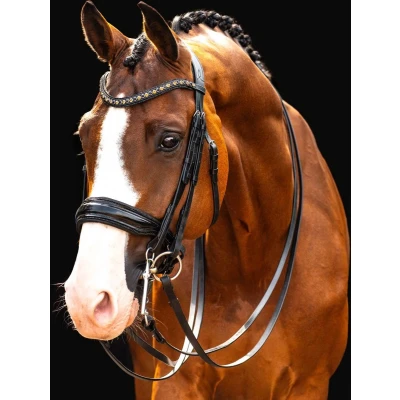 Afbeelding van Hb Stang En Trens Showtime All You Needed Zwart blauw
