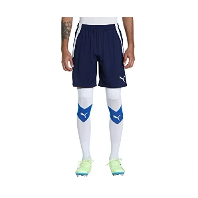 Afbeelding van Puma Korte broeken, Heren, Maat: Large, Blau