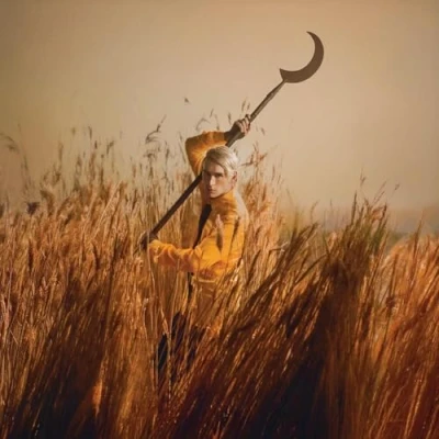 Afbeelding van Patrick Wolf Crying The Neck (LP)