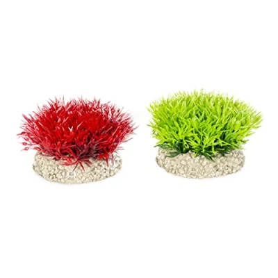 Afbeelding van Aqua Della Aquariumplanten (voeding) Vissen Plant Crystalwort Moss S Height 5cm Gemengde Kleuren 1st