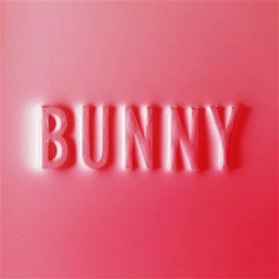 Afbeelding van Matthew Dear Bunny