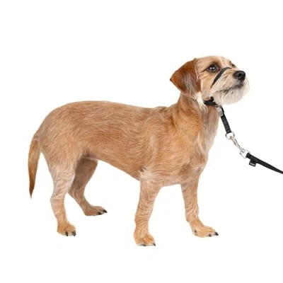 Afbeelding van Petsafe easy walk anti trek zwart