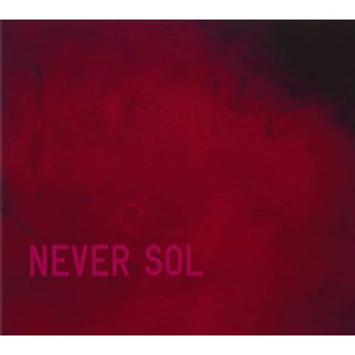 Afbeelding van Never Sol Under Quiet (CD)