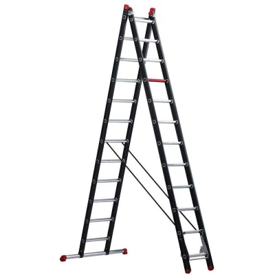 Image de ALTREX Mounter escabeau 2 x 12 échelons 122412