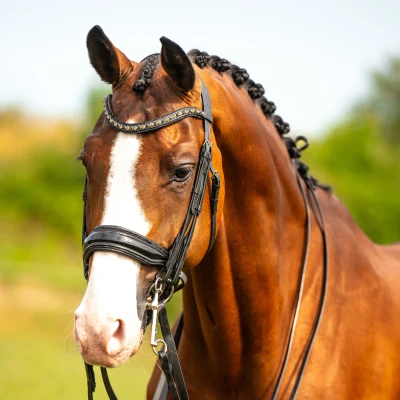 Image de HB Showtime Bride All You Needed Noir/Noir Briller Cob