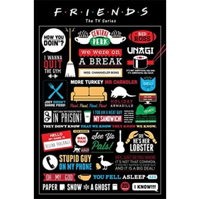 Afbeelding van Pyramid Poster Friends Infographic 91.5 X 61 Cm Multicolor