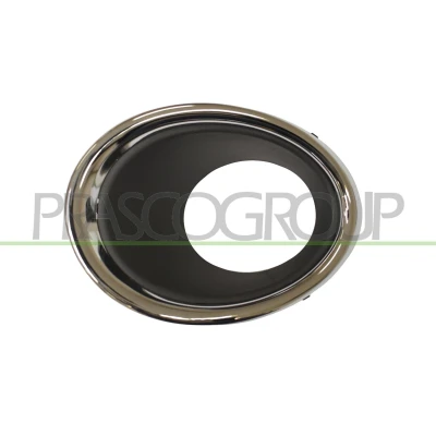 Afbeelding van PRASCO DS7121247 Frame, mistlamp rechts zwart