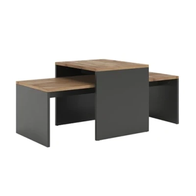Afbeelding van Vicco DonatSalontafel set 100 x 48 cm , 2 delen Antraciet/gouden eik