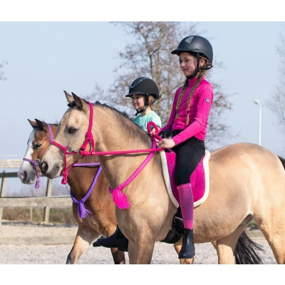 Afbeelding van Qhp Touwhalster Met Teugels Donkerroze