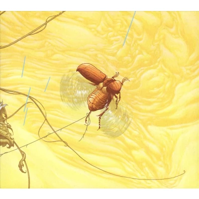 Afbeelding van The Blinding Light Junebug