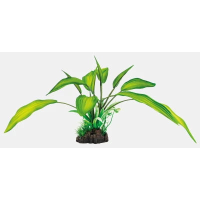 Afbeelding van Superfish Art plant Cryptocoryne