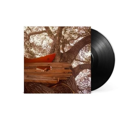 Afbeelding van Backseat Lovers Waiting To Spill (LP)