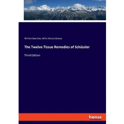 Afbeelding van The Twelve Tissue Remedies of Schüssler