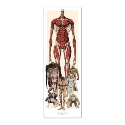 Afbeelding van Poster Attack on Titan 53x158cm