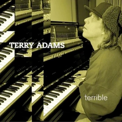 Afbeelding van Terry Adams Terrible (2 LPs)