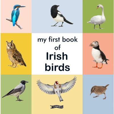 Afbeelding van First Steps My Book of Irish Birds