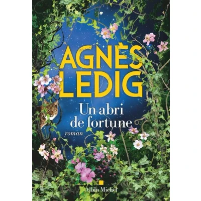 Image de Un abri de fortune
