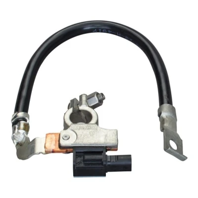 Afbeelding van Hella Sensor accumanagement 6PK 010 561 901