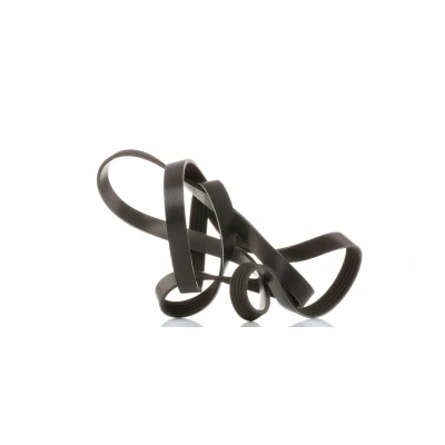 Afbeelding van Skf Poly V riem VKMV 5PK1811