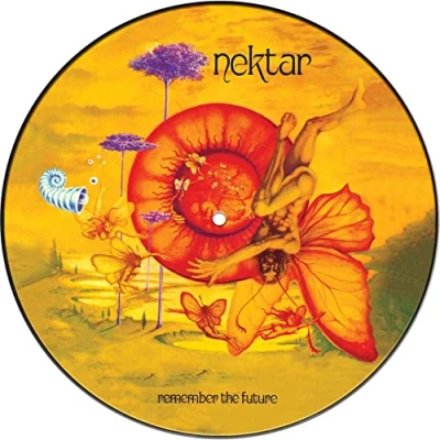 Afbeelding van Nektar Remember The Future (LP) (Picture Disc)