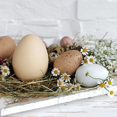 Afbeelding van Pastel eggs