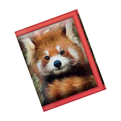 Afbeelding van Deluxebase 3D LiveLife portemonnee met panda motief lenzenmotief in wilde diervorm, en kaartenetui licentie afbeelding van David Penfound, Rood, Pocket Size, kaarthouder